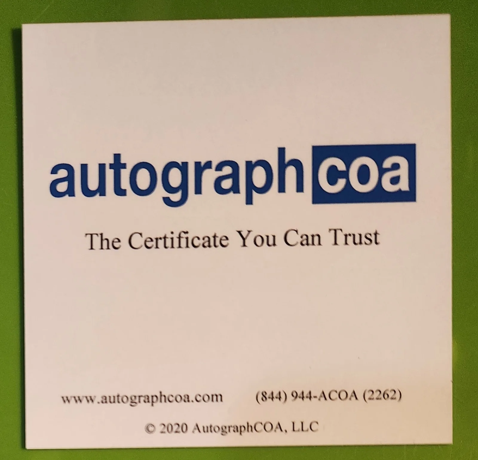 Seth Rogen — Seth Rogen Signed 8x10 B.O.B. Photo Autographed ACOA COA Monsters vs Aliens, изображение 4