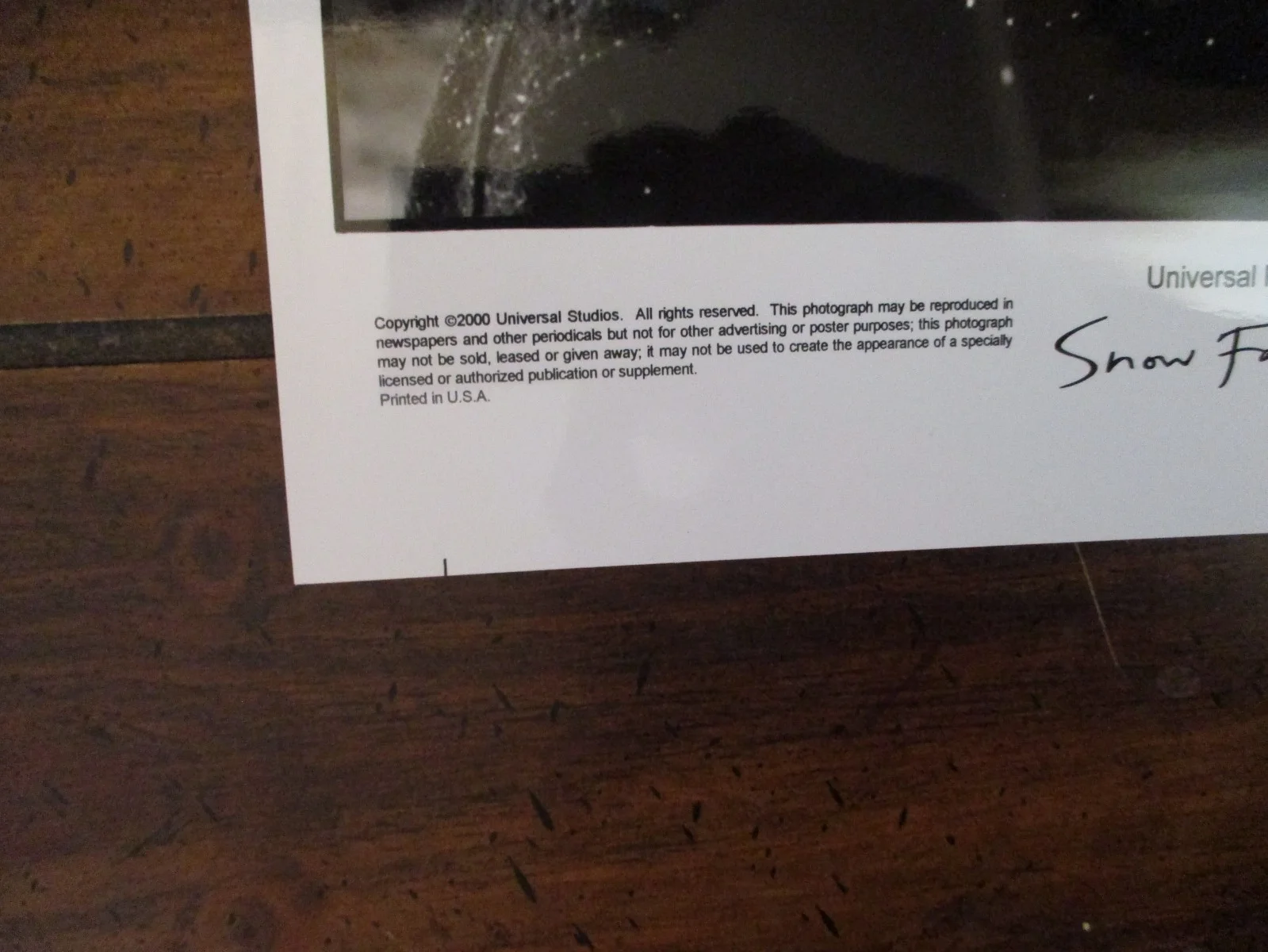 Anne Suzuki/Ethan Hawke/Youki Kudoh(SNOW FALLING ON CEDARS)2000 10 x 8 B&W Photo, image 3