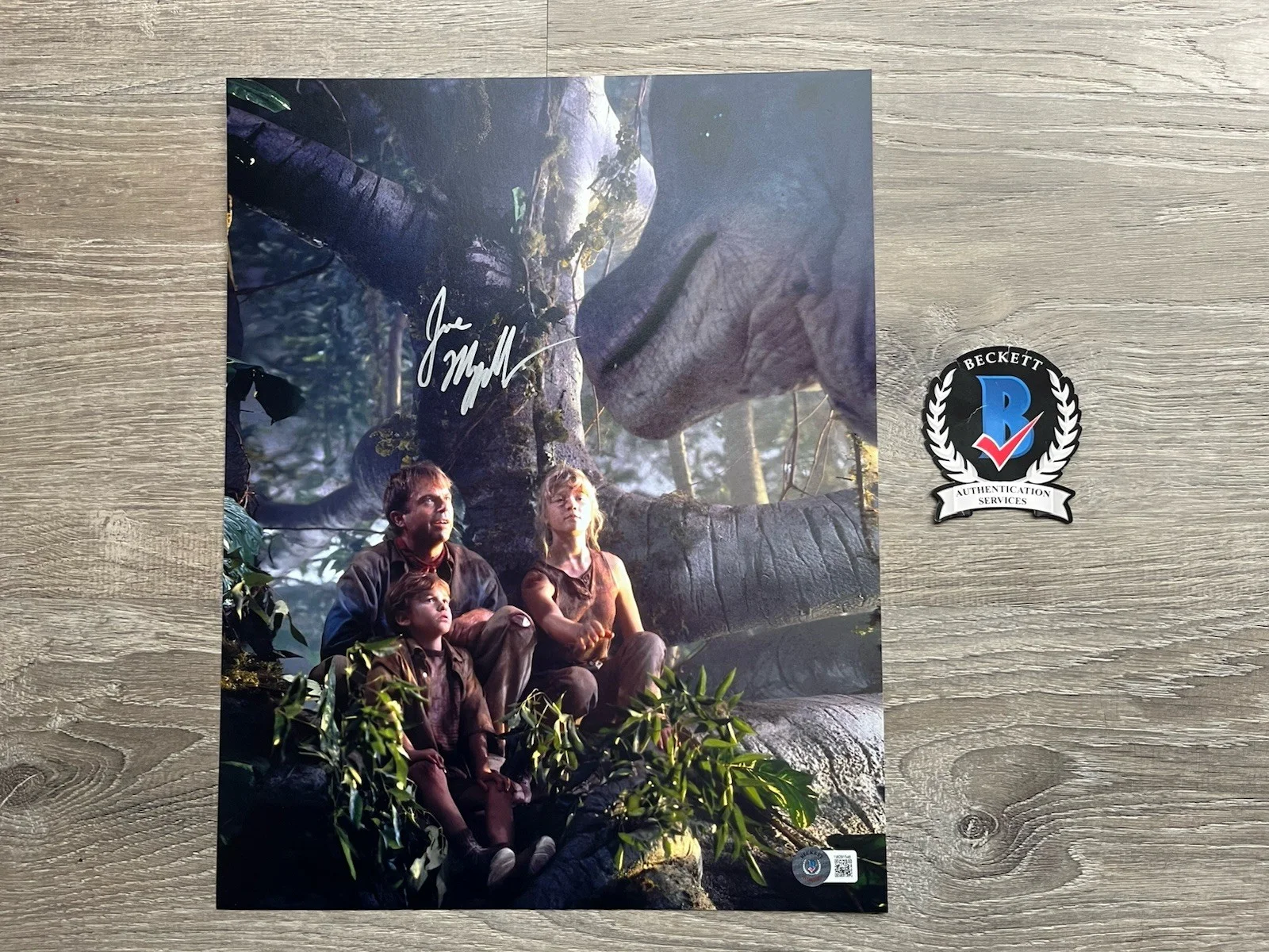Joseph Mazzello — Joseph Mazzello Signed Jurassic Park 11x14 Photo Beckett COA Tim Murphy