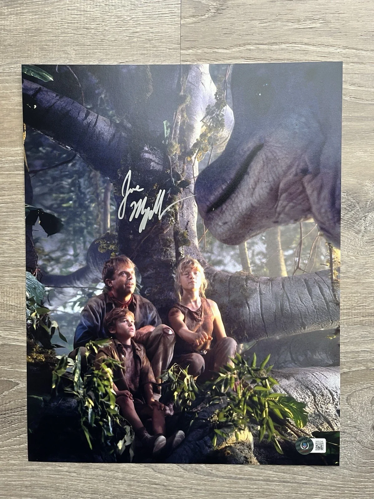 Joseph Mazzello — Joseph Mazzello Signed Jurassic Park 11x14 Photo Beckett COA Tim Murphy, image 2