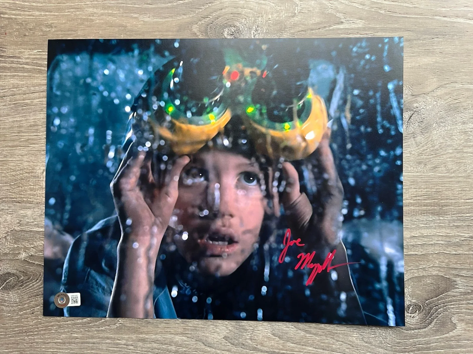 Joseph Mazzello — Joseph Mazzello Signed Jurassic Park 11x14 Photo Beckett COA Tim Murphy, image 2