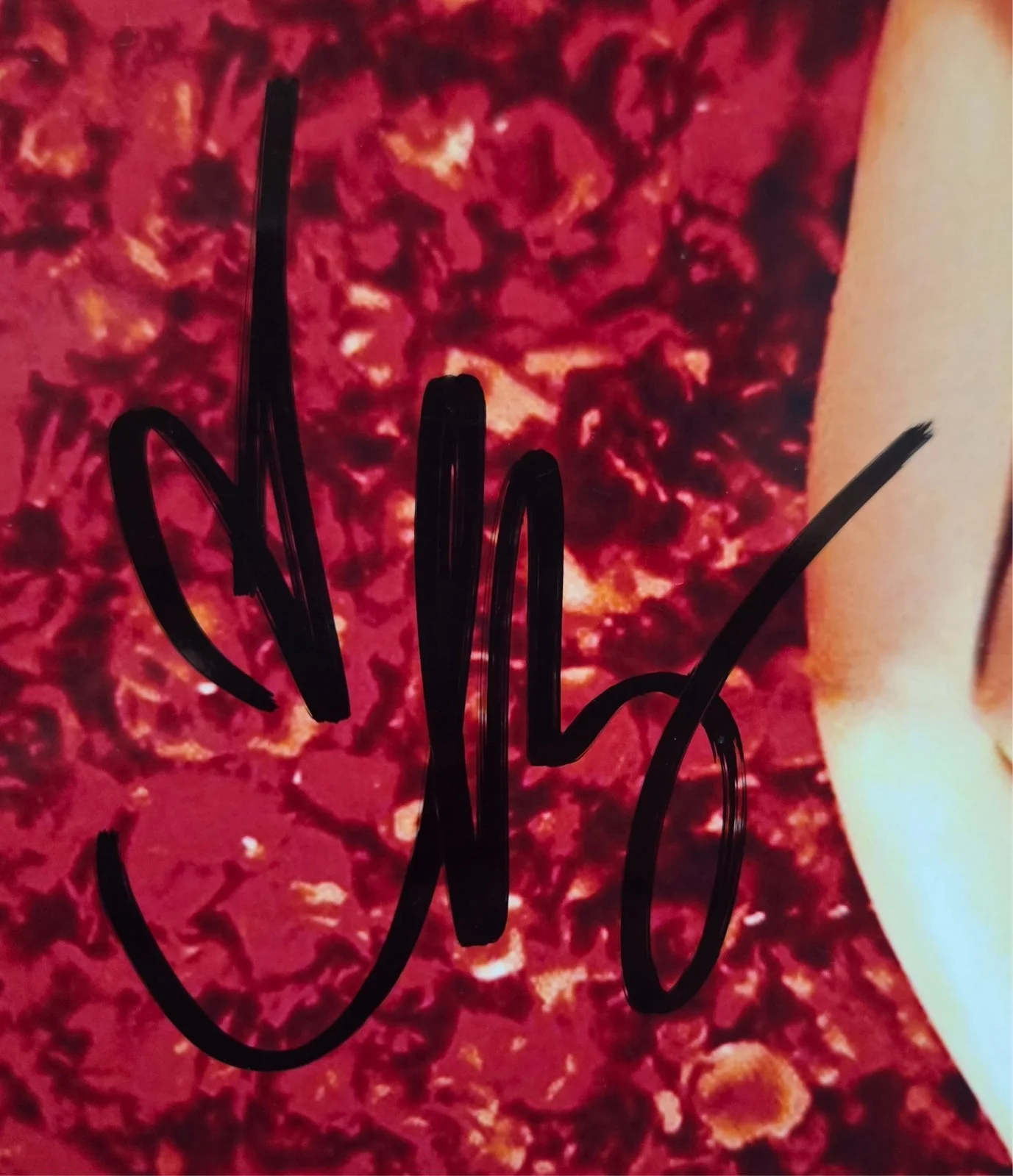 Mena Suvari Hand Signed Autograph 8x10 Photo In Person Proof American Beauty, изображение 2