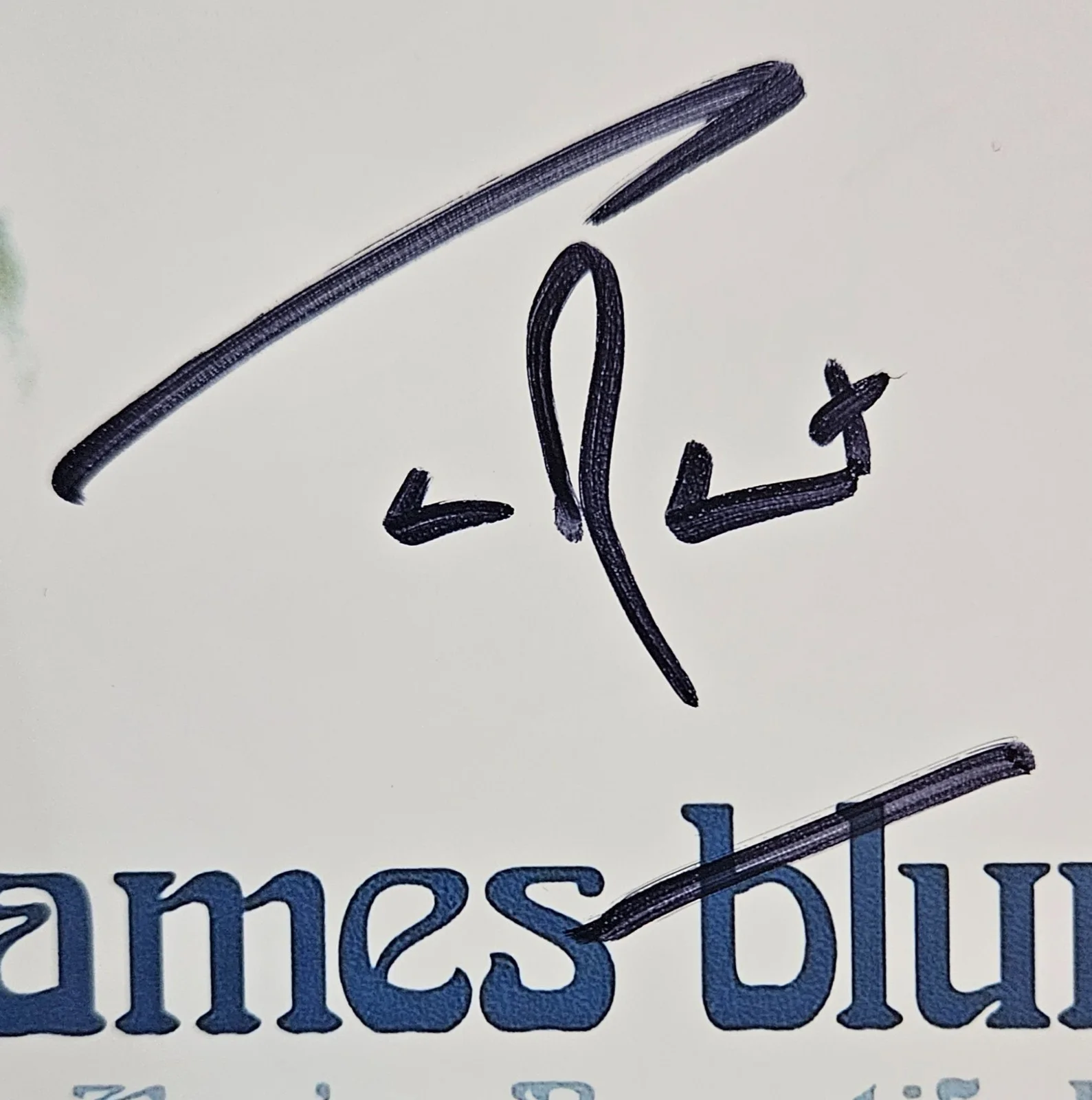 James Blunt Hand Signed Autograph 8x8 Photo In Person Proof You're Beautiful, изображение 2