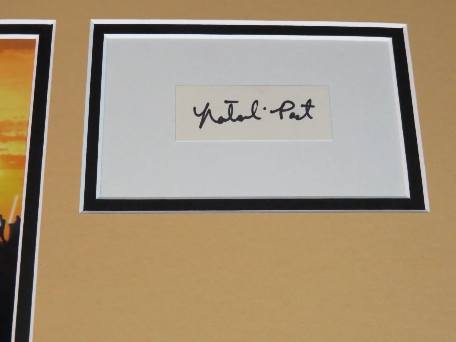 Natalie Portman — Natalie Portman STAR WARS Signed Autograph Auto 14x18 Index Card Display x2 JSA, изображение 4