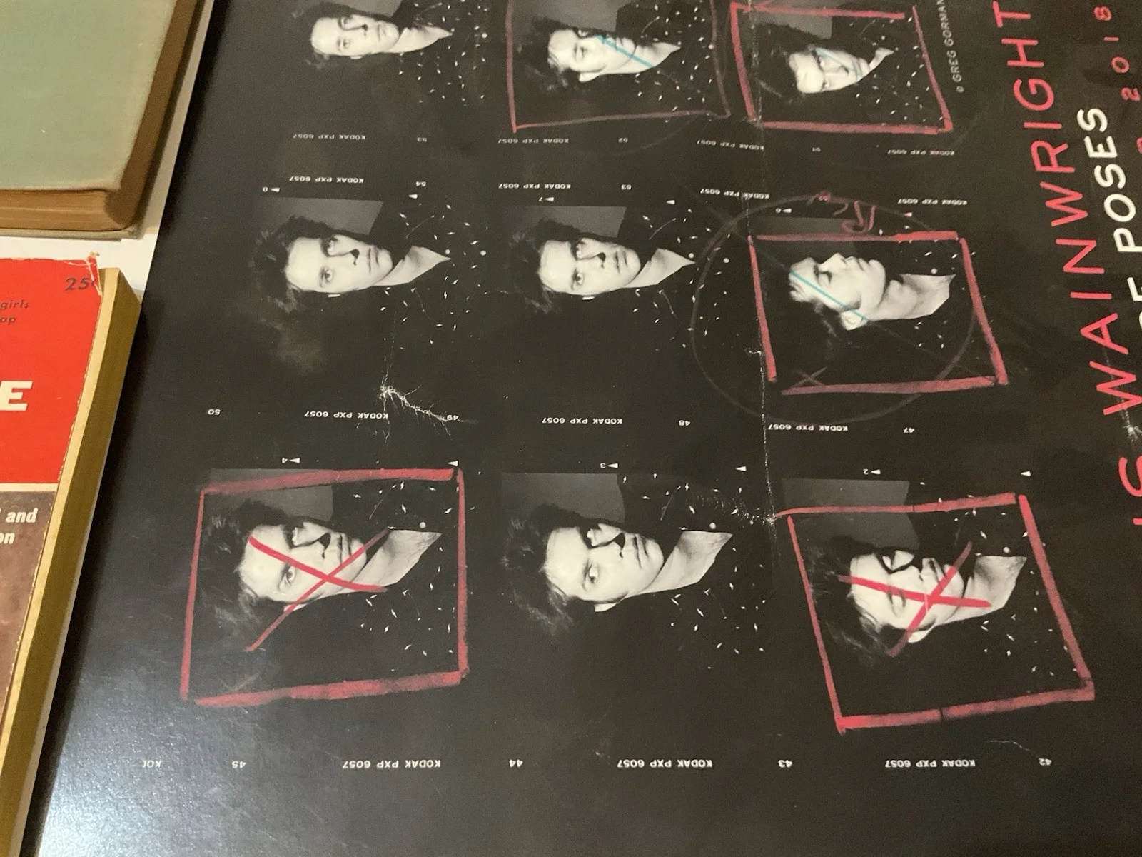 RUFUS WAINWRIGHT ALL THESE POSES POSTER SIGNED 18 X 12", image 3