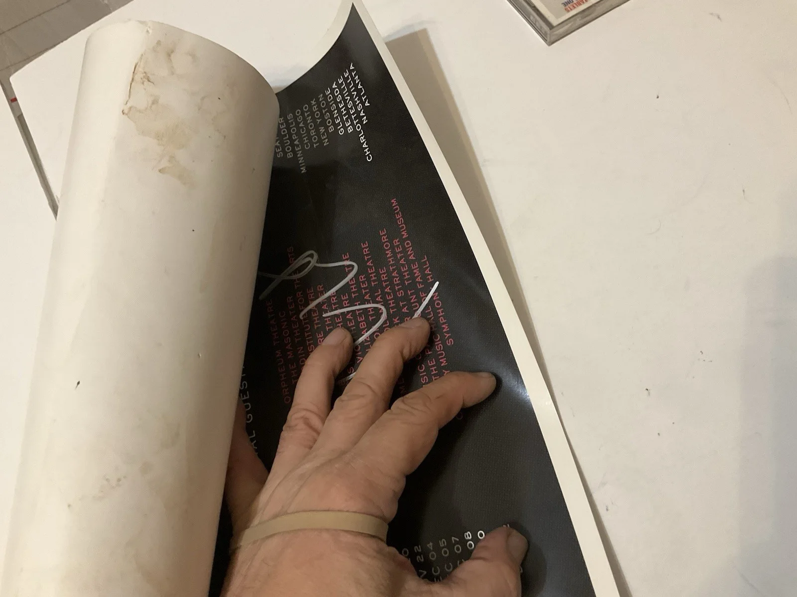 RUFUS WAINWRIGHT ALL THESE POSES POSTER SIGNED 18 X 12", image 4
