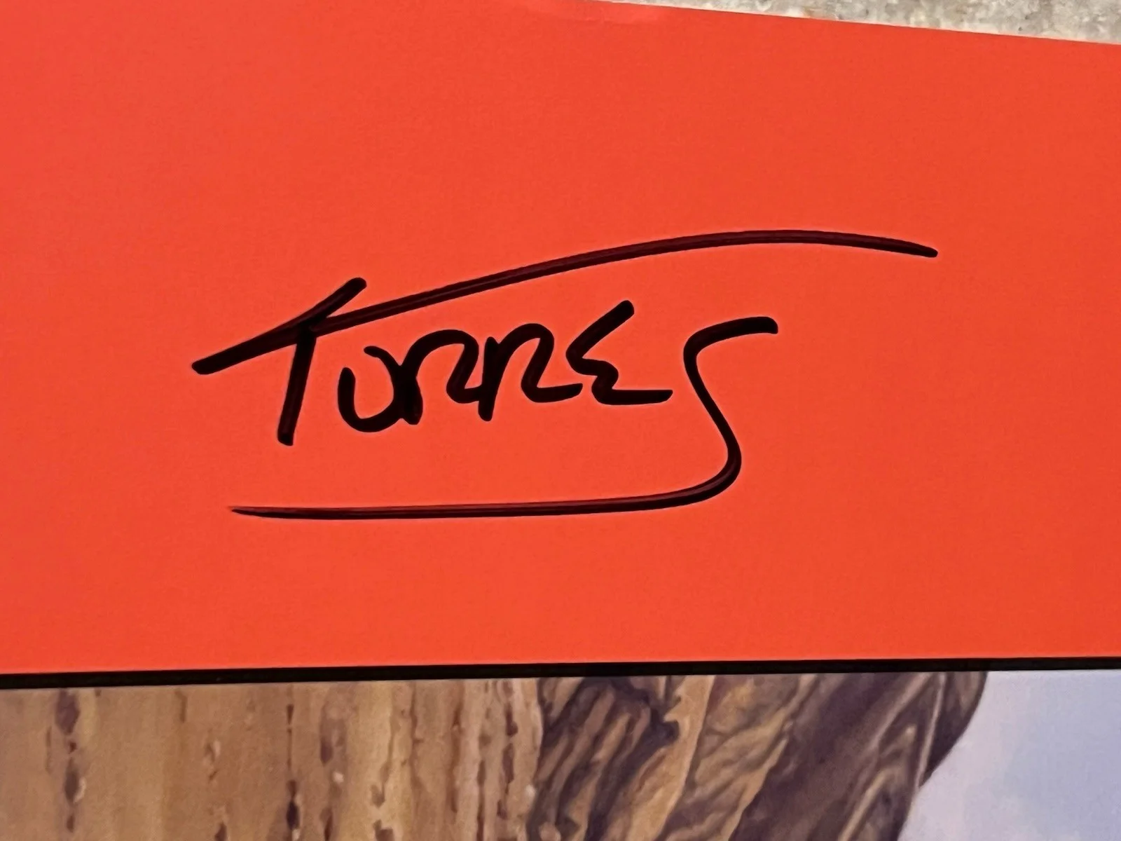 Julien Baker Torres Signed 12x12 Flat PSA / DNA COA Send A Prayer Autograph Auto, image 2
