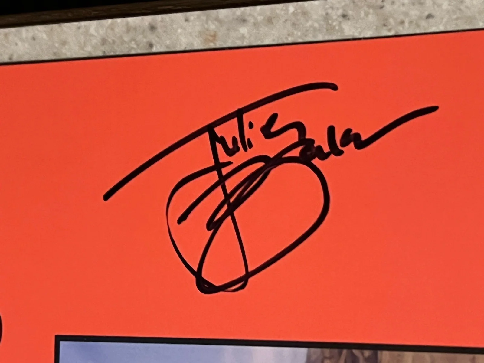 Julien Baker Torres Signed 12x12 Flat PSA / DNA COA Send A Prayer Autograph Auto, image 3