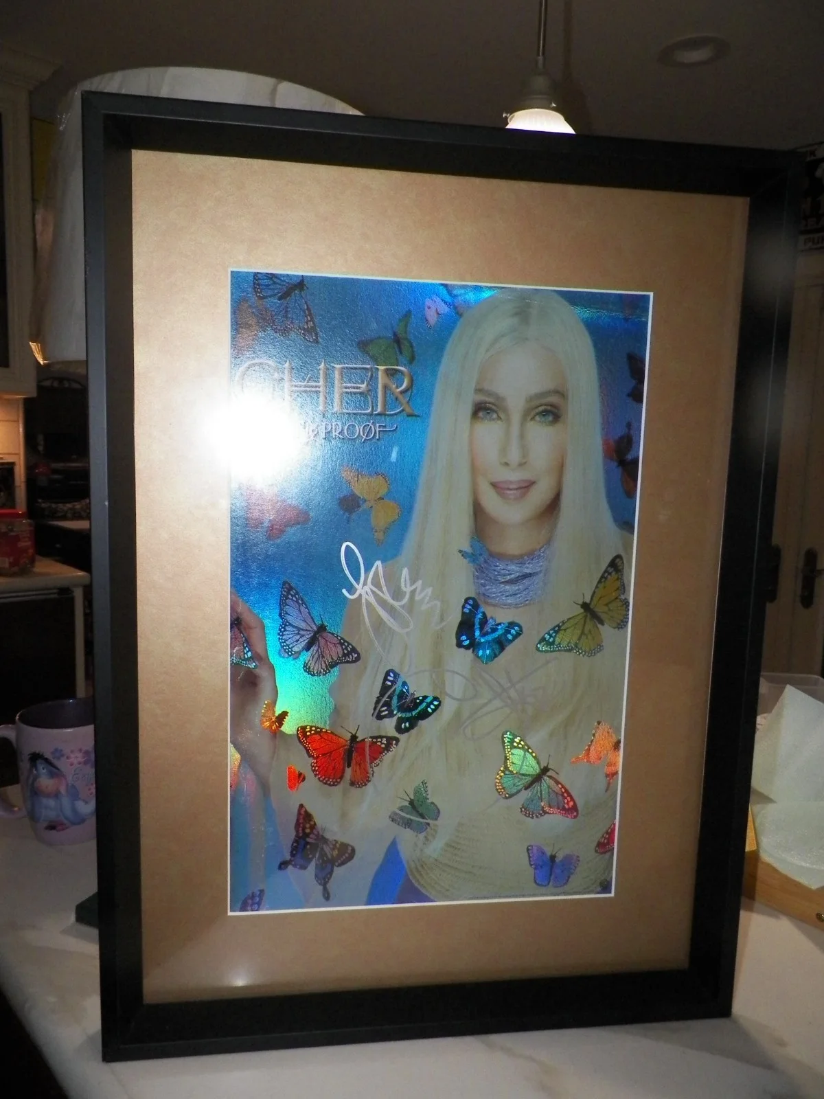 FRAMED AUTOGRAPHED BLOND CHER POSTER LIVING PROOF BUTTERFLIES 23" x 17", изображение 5