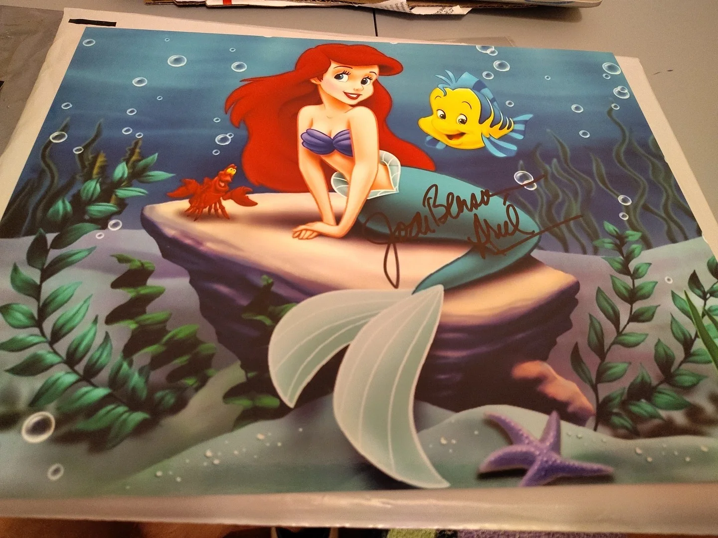 JOdi Benson Signed Little Mermaid 11x14 Disney Photo MINT 11x14, изображение 2