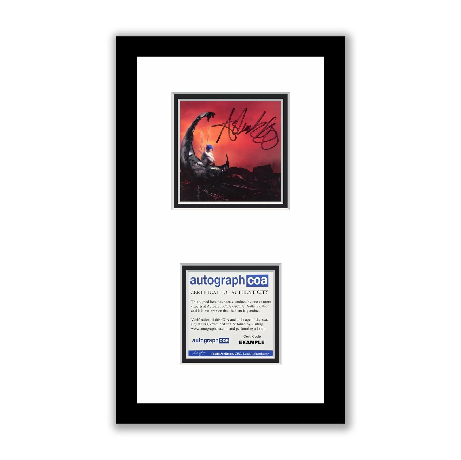 Ashnikko — Ashnikko Autographed Signed Framed CD Weedkiller ACOA