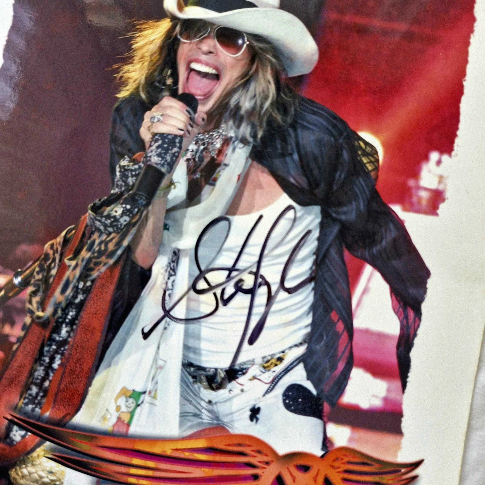 AEROSMITH STEVEN TYLER SIGNED 8” x 10” PRESS PHOTO, image 2