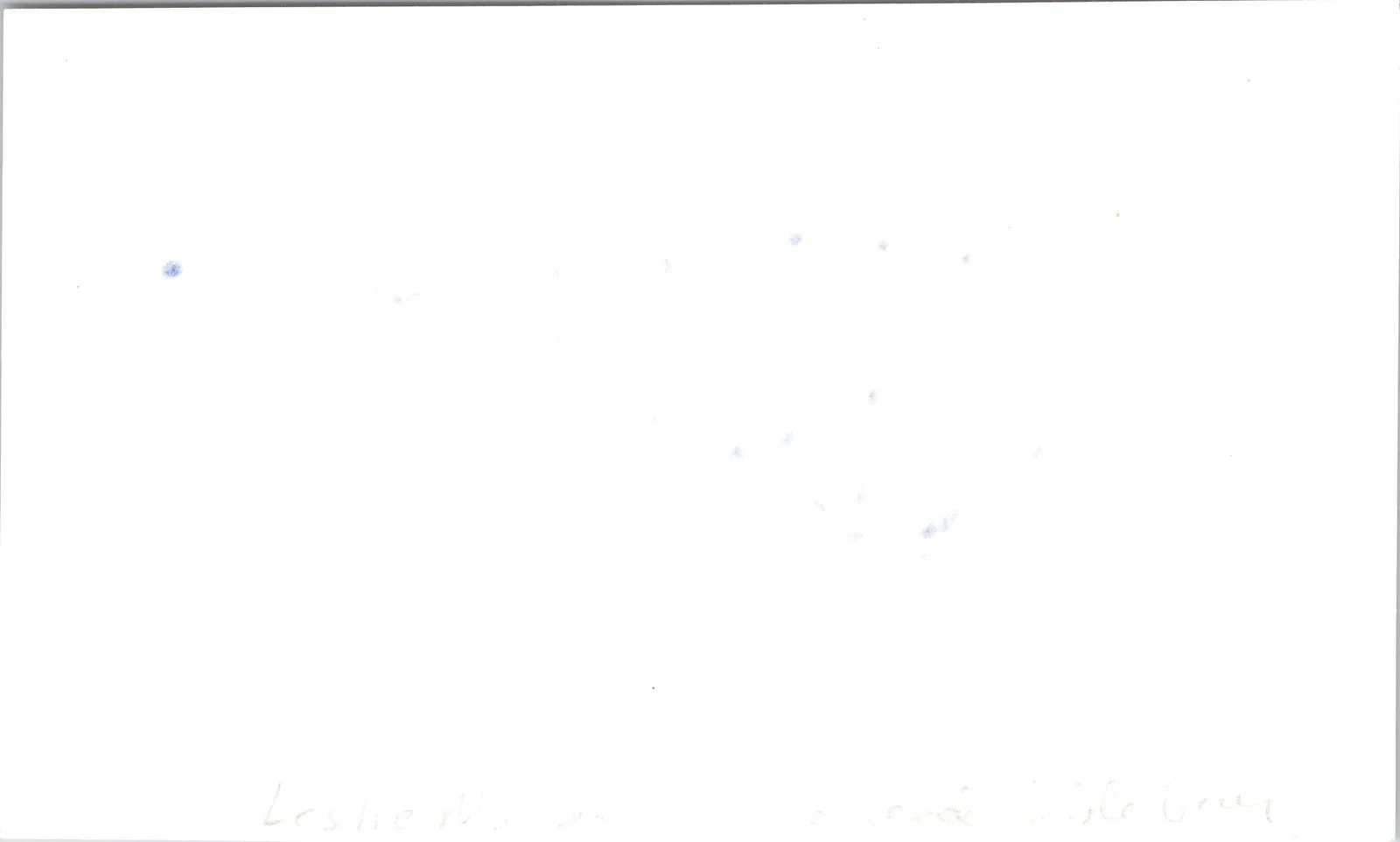 Leslie Mann — Leslie Mann Signed 3x5 Index Card The Other Woman, Cable Guy Autographed, изображение 2