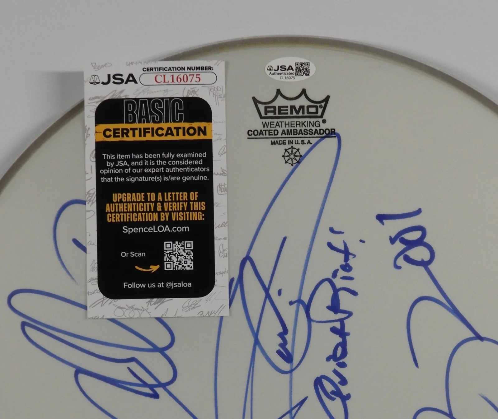 Quiet Riot ACOA JSA Fully Signed Autograph Drum head Kevin DuBrow, image 4