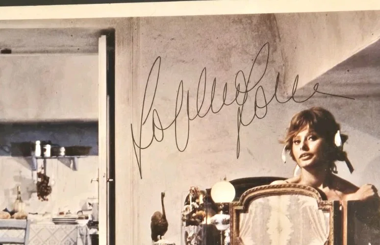 Sophia Loren — Sophia Loren JSA Coa Signed 8x10 Movie Photo Autograph "It Started In Naples", image 2