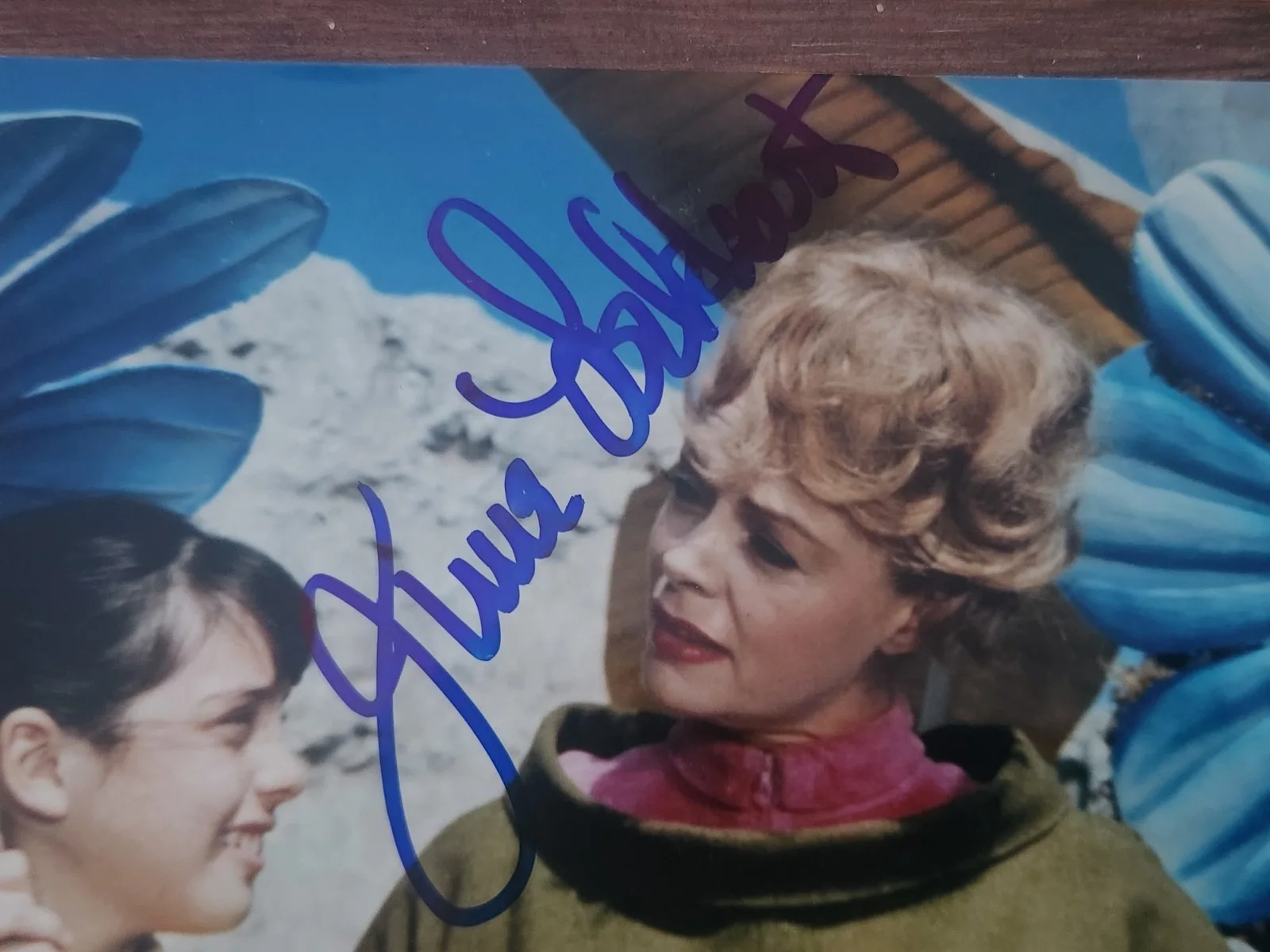 June Lockhart, Angela Cartwright, Bill Mumy — June Lockhart Angela Cartwright Bill Mumy SIGNED Lost in Space Photo JSA COA, image 4