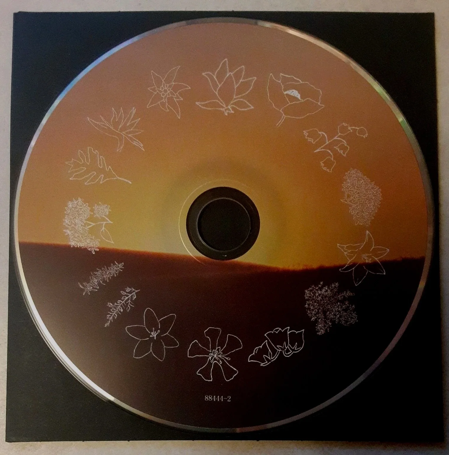 Shore By Fleet Foxes (CD, Autograph 2021) Robin Pecknold Autographed CD Rare!!!, image 3