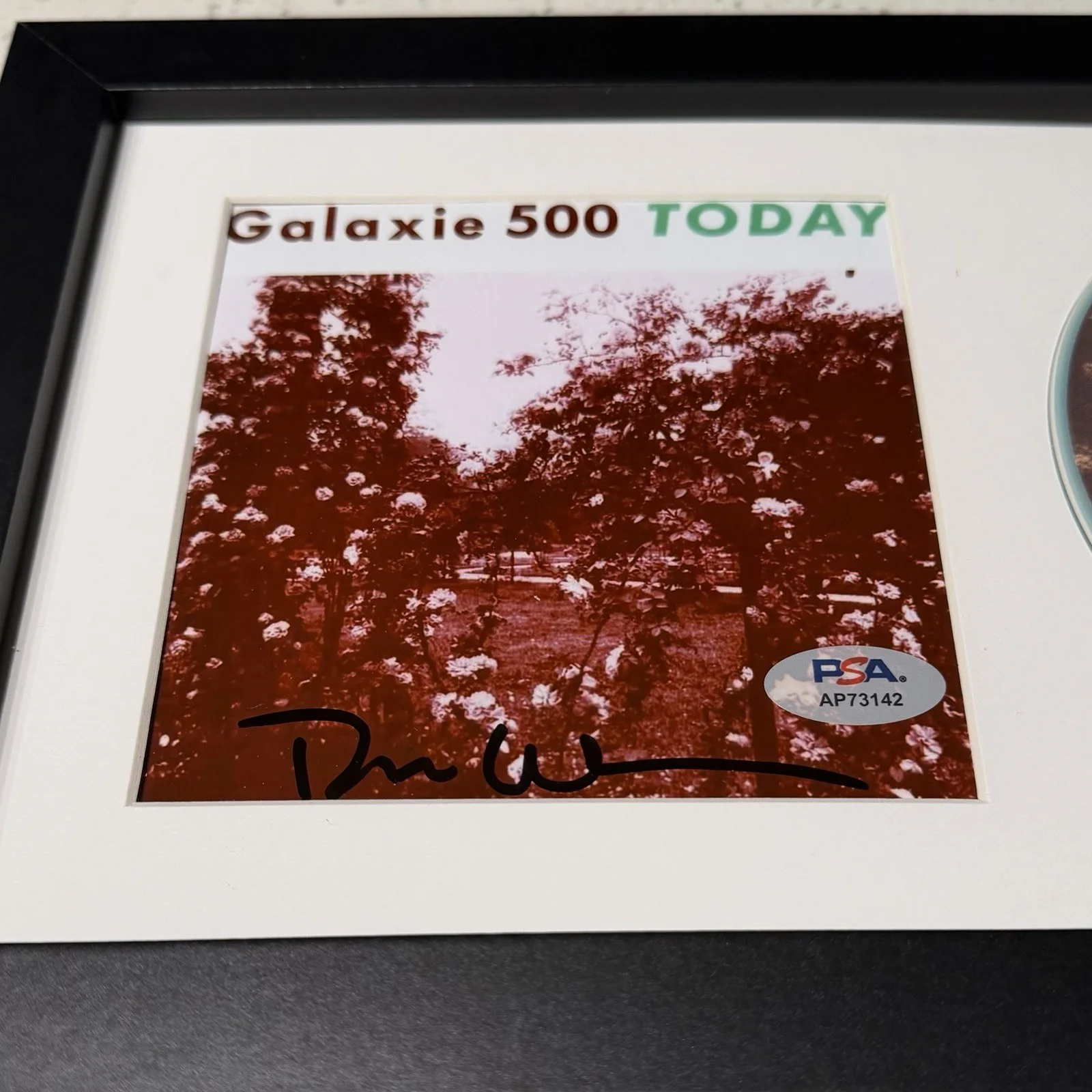 DEAN WAREHAM SIGNED GALAXIE 500 TODAY CD ALBUM AUTOGRAPH FRAMED PSA COA, image 2