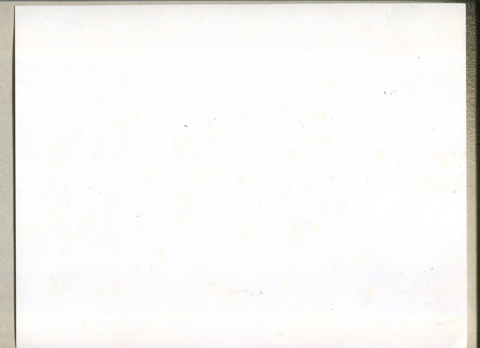 Drew Davis Band Signed Autograph 8.5" x 11" Photo Country Music Band A1, изображение 2