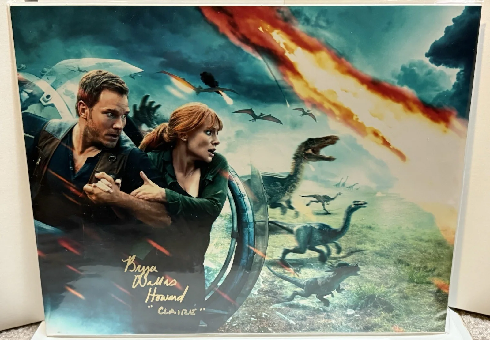 Bryce Dallas Howard — Bryce Dallas Howard - Jurassic World Signed & Inscribed 11x14 Photo (ACOA), image 2