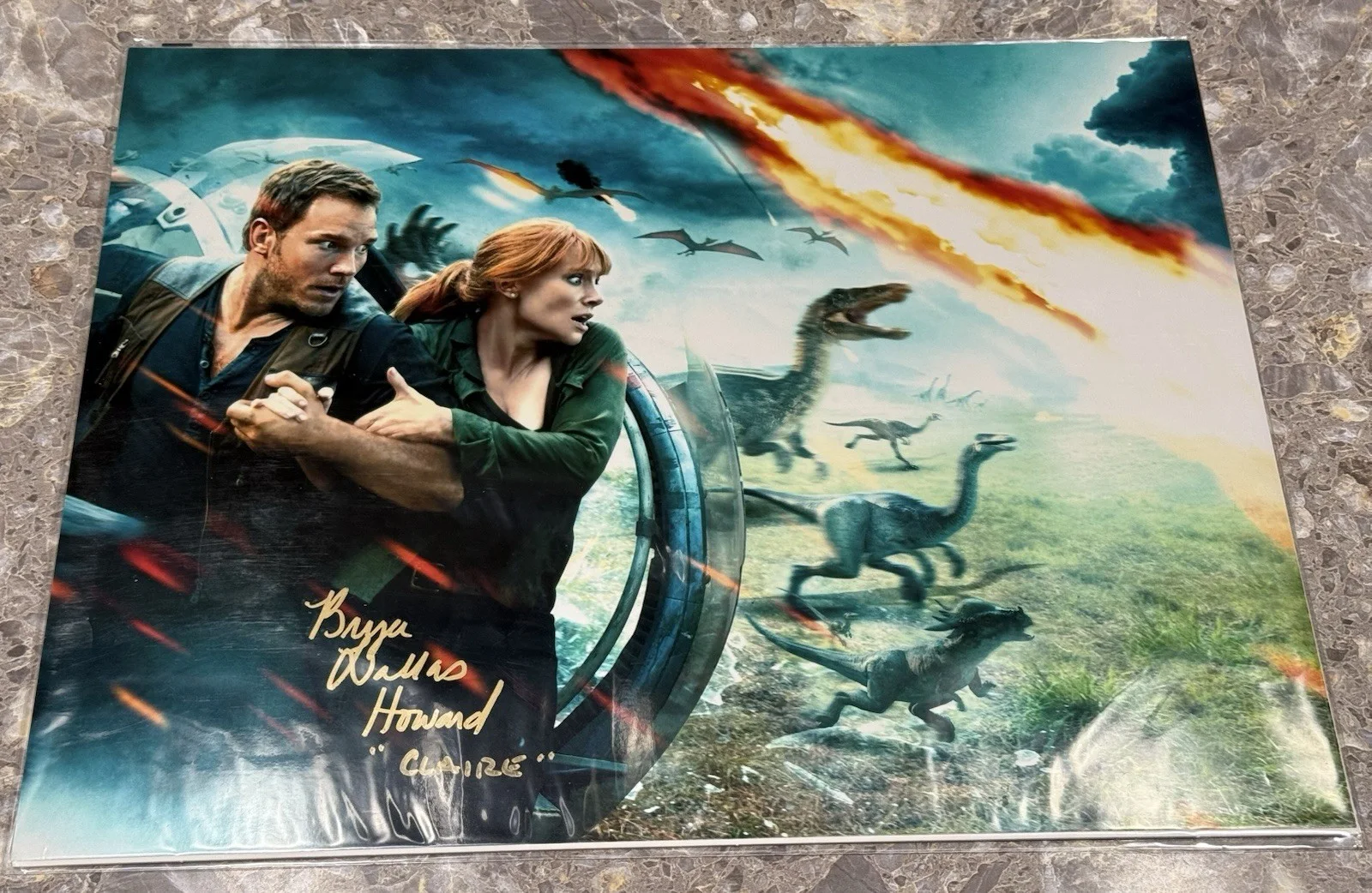 Bryce Dallas Howard — Bryce Dallas Howard - Jurassic World Signed & Inscribed 11x14 Photo (ACOA), image 4