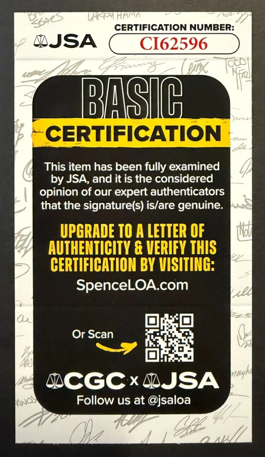 Chloe Sevigny — Chloe Sevigny Actress Signed Autographed Sheet JSA COA Golden Globe Award Winner, изображение 3