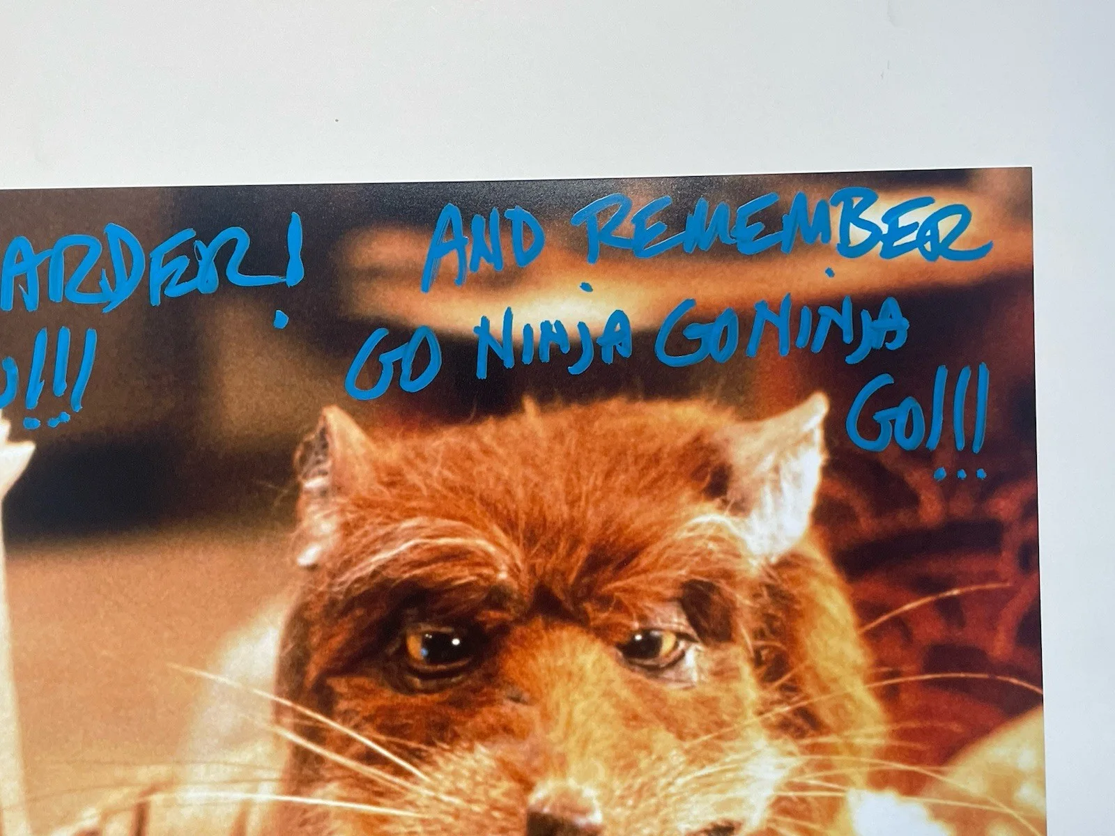 Kevin Clash — Kevin Clash Hand Signed 11x14 Photo JSA Authentic Splinter TMNT 2, image 4