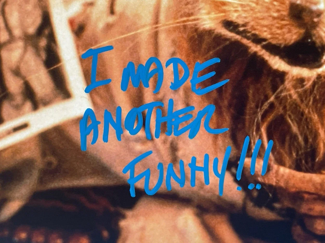 Kevin Clash — Kevin Clash Hand Signed 11x14 Photo JSA Authentic Splinter TMNT 2, image 5