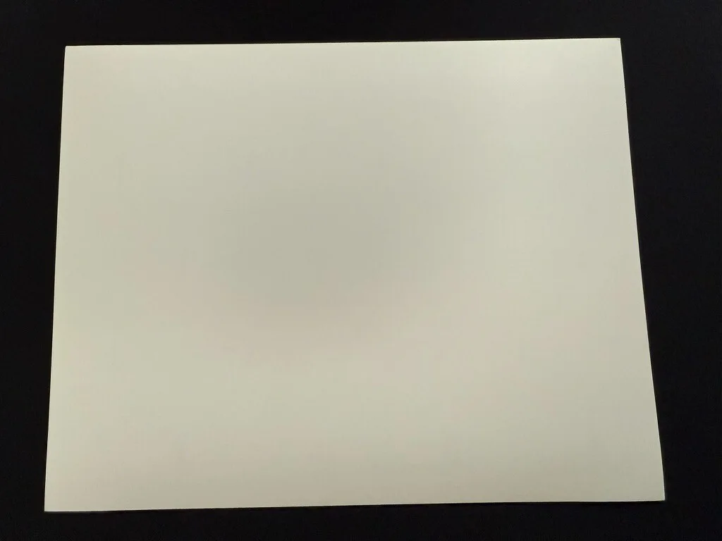 RARE A4 1990 Awakenings B/W Press Scene Print (Robert de Niro), image 2