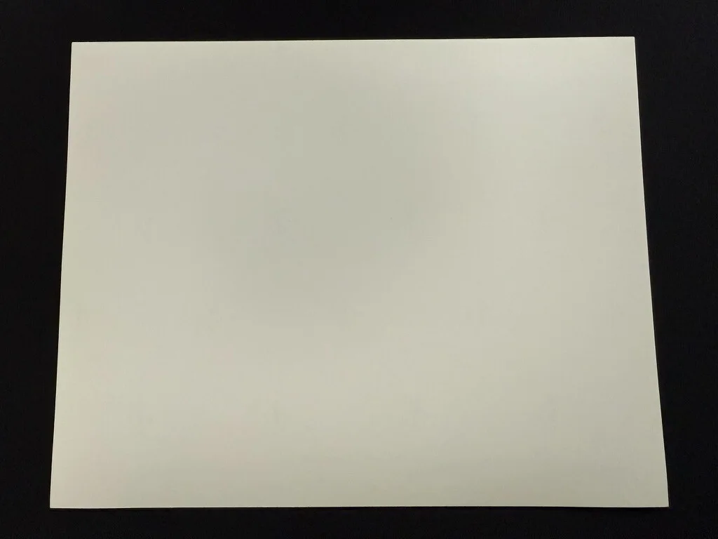 RARE A4 1990 Awakenings B/W Press Scene Print (Robin Williams & Alice Drummond), изображение 2