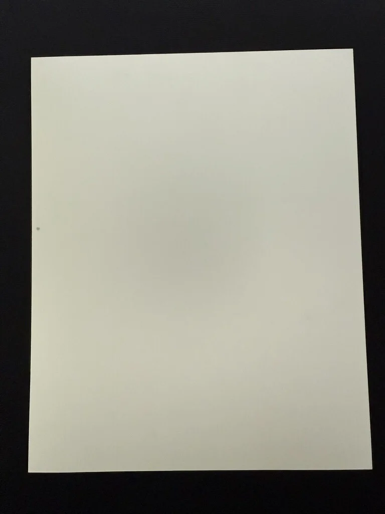 RARE A4 1990 Awakenings B/W Press Scene Print (Robin Williams), image 2