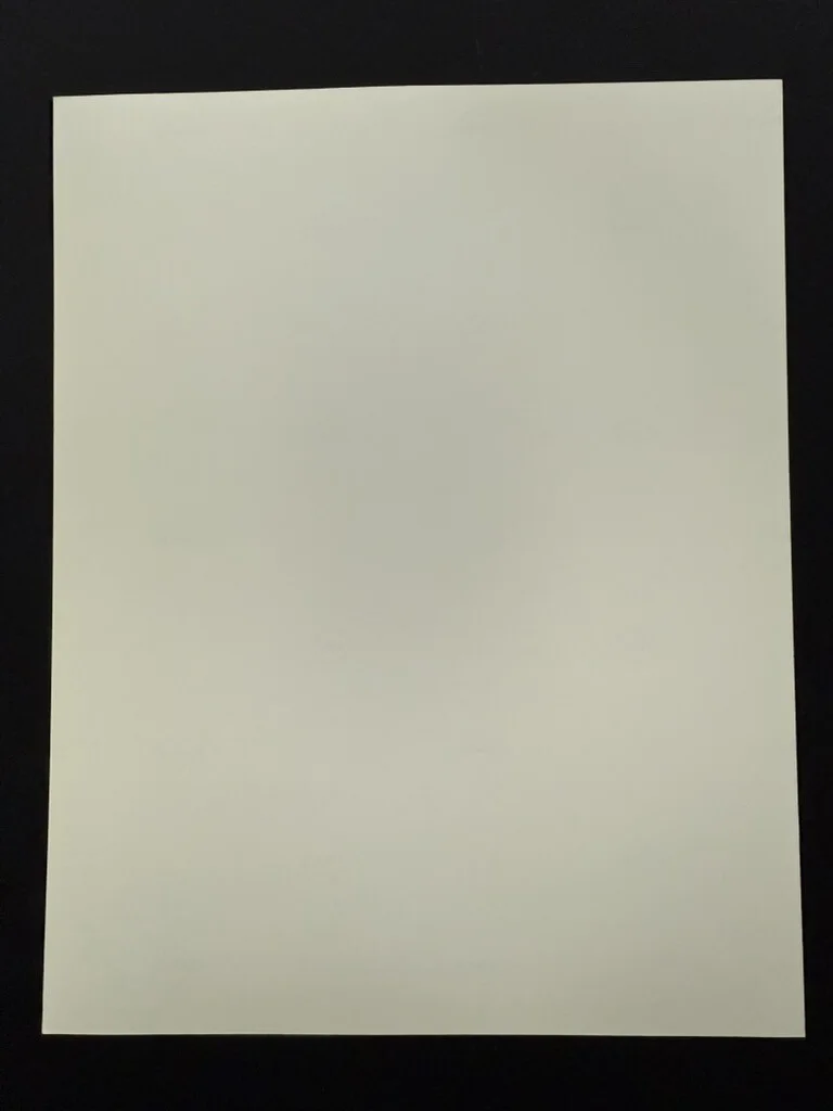 RARE A4 1990 Awakenings B/W Press Scene Print (Director Penny Marshall), image 2