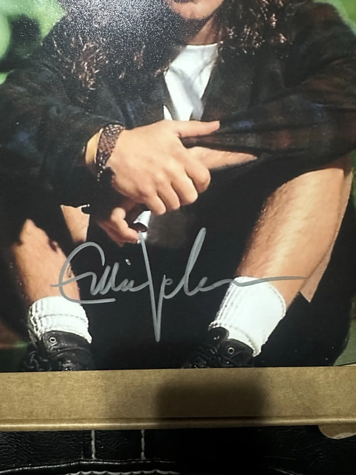 Eddie Vedder Pearl Jam Autographed 8x10" Photo with Certificate of Authenticity, image 2