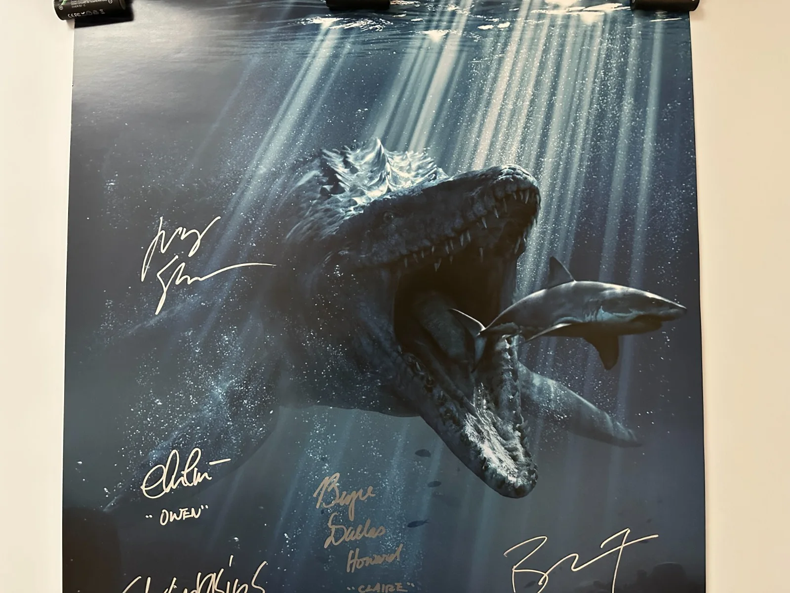 Bryce Dallas Howard, Chris Pratt, Nick Robinson, Katie McGrath — Jurassic World Signed Movie Poster with COA / 7 Signatures -Howard, Pratt, Tee, изображение 3