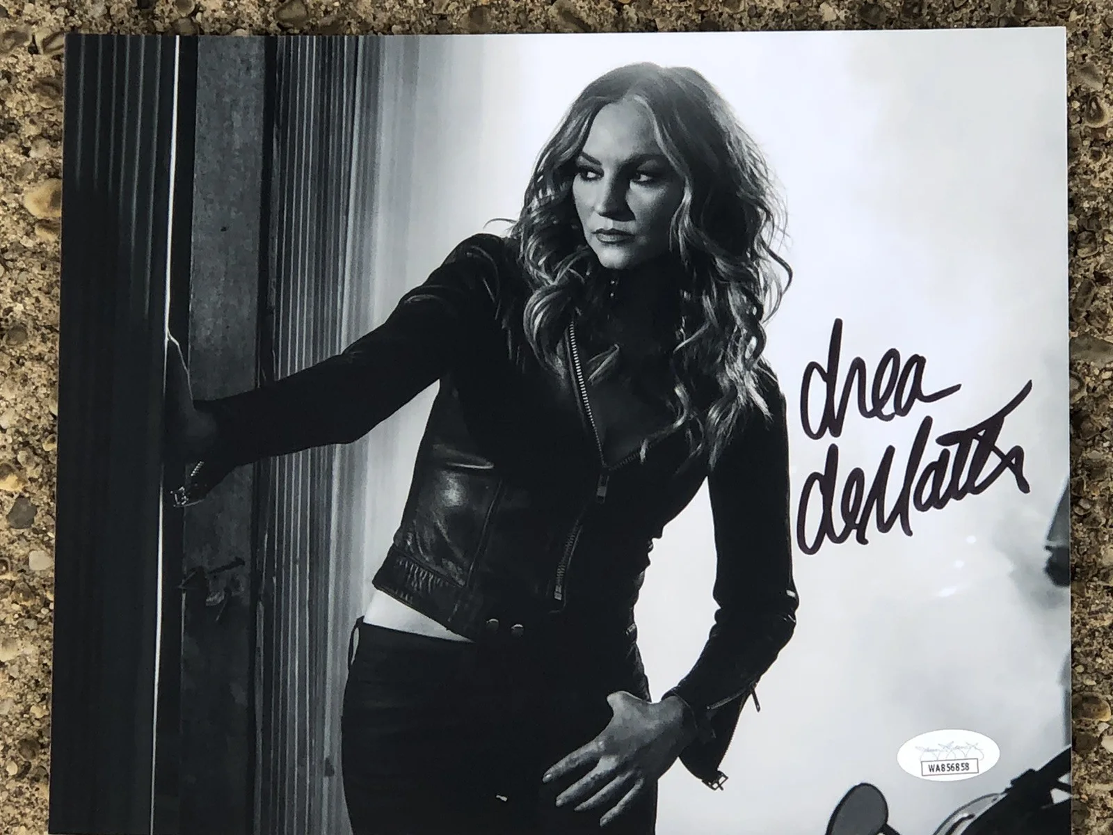 Drea DeMatteo — DREA DE MATTEO SEXY SIGNED 8x10 SOPRANOS ACTRESS SONS OF ANARCHY WENDY CASE JSA, изображение 2