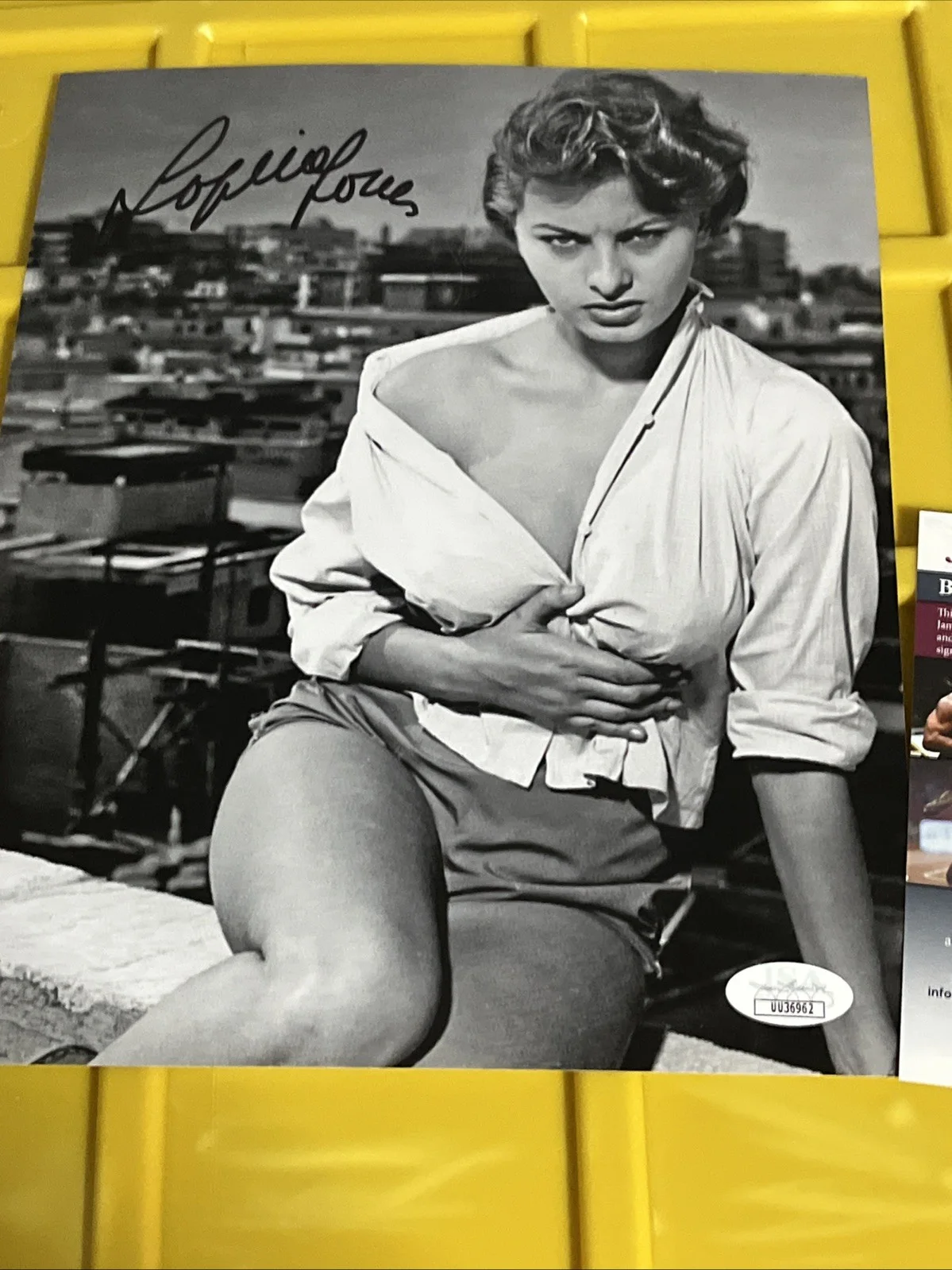 Sophia Loren — Sophia Loren Signed BEAUTIFUL Photo Auto JSA COA RARE Legendary Actress 8x10