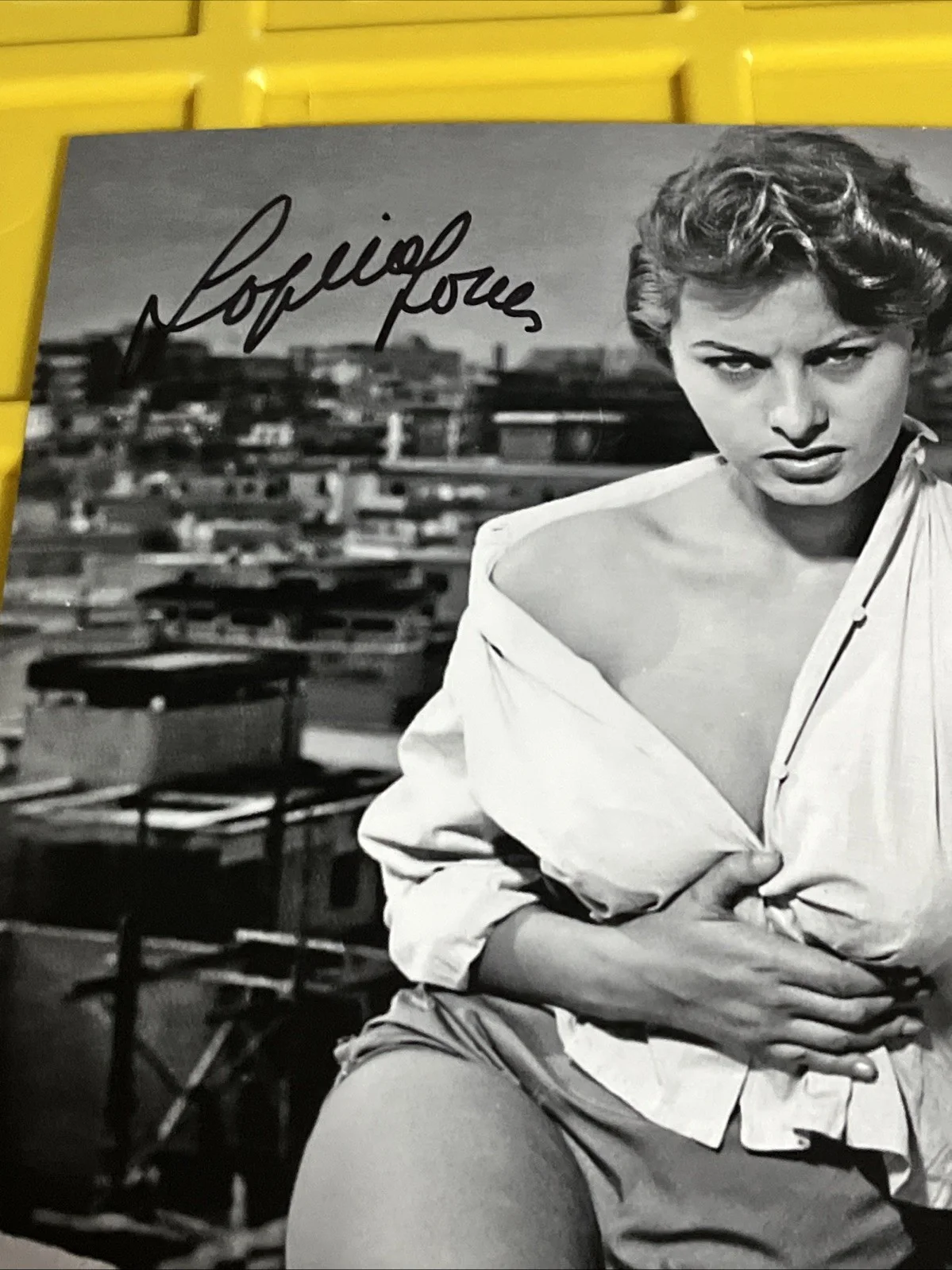 Sophia Loren — Sophia Loren Signed BEAUTIFUL Photo Auto JSA COA RARE Legendary Actress 8x10, изображение 2