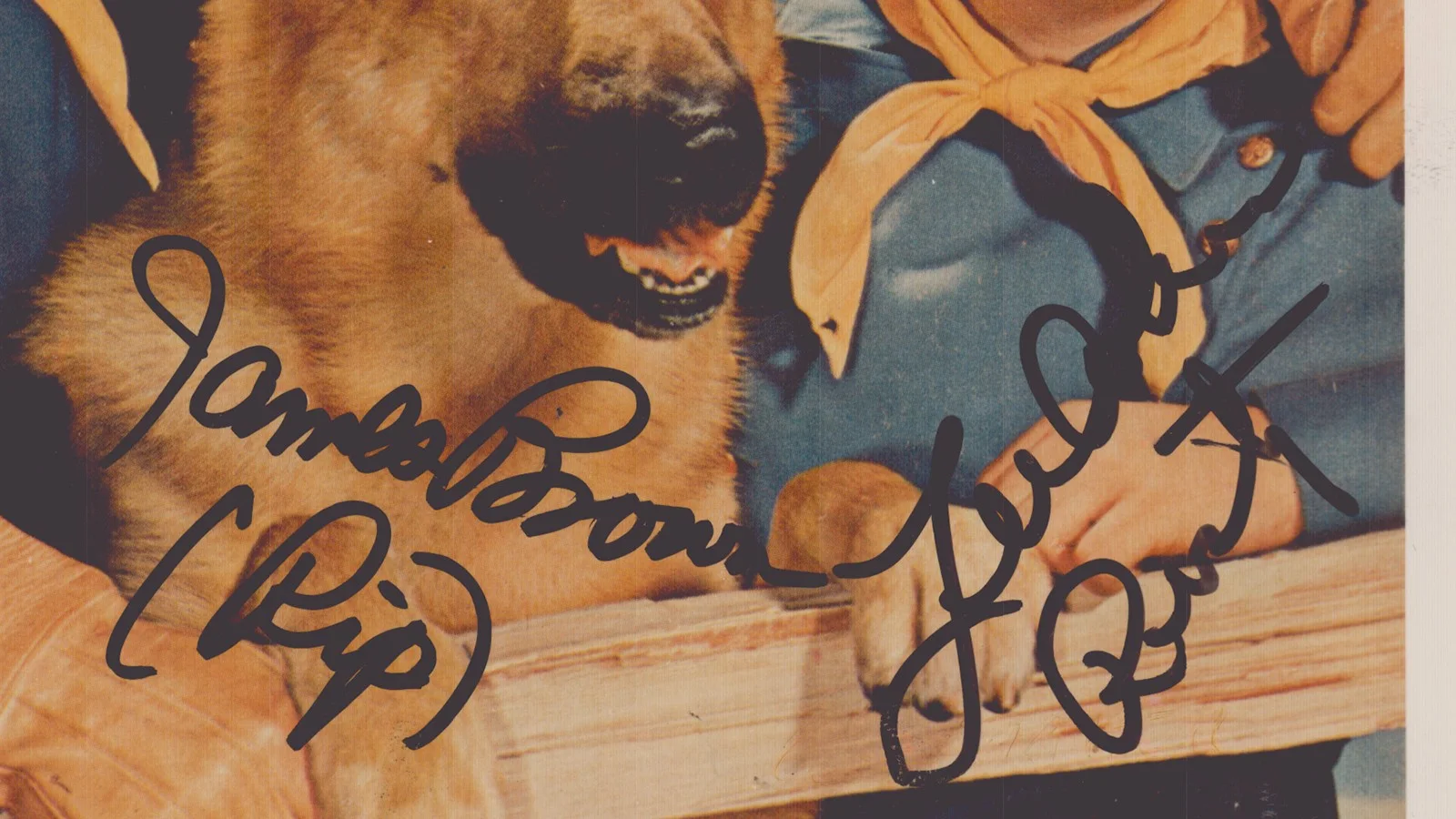 Lee Aaker, James L. Brown — THE ADVENTURES OF RIN TIN TIN TV CAST - PHOTOGRAPH SIGNED WITH CO-SIGNERS, изображение 2
