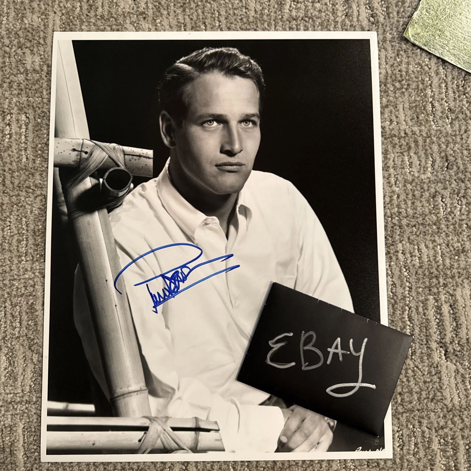 Paul Newman Incredible Autograph SIGNED Photo JSA Certified COA 11x14, image 2