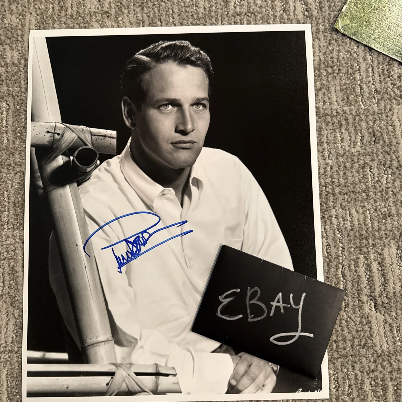 Paul Newman Incredible Autograph SIGNED Photo JSA Certified COA 11x14, image 3