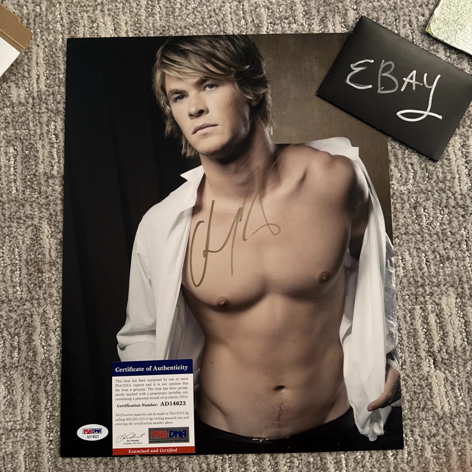 Chris Hemsworth Incredible Autograph SIGNED Photo PSA Certified COA 11x14, image 2