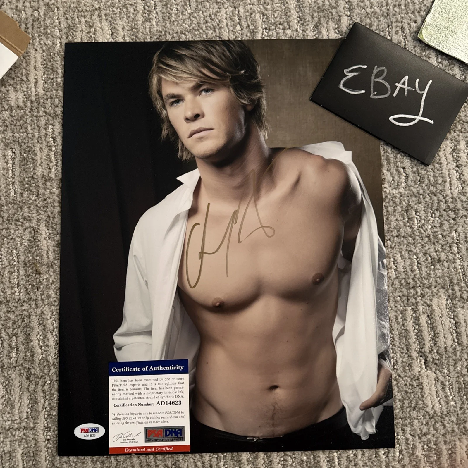 Chris Hemsworth Incredible Autograph SIGNED Photo PSA Certified COA 11x14, image 3