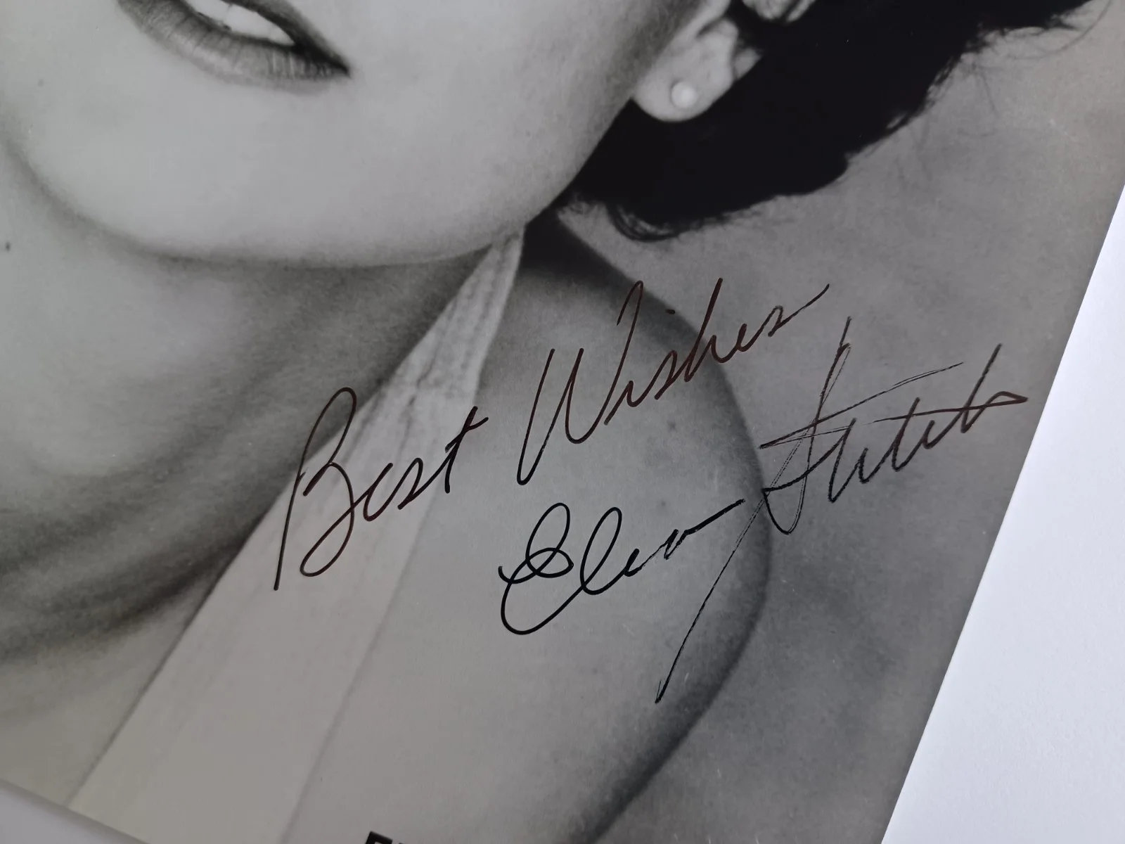 Elena Stiteler Wohl Signed 8x10 Photo - Buck James, L.A. Law, Middlehood, image 2