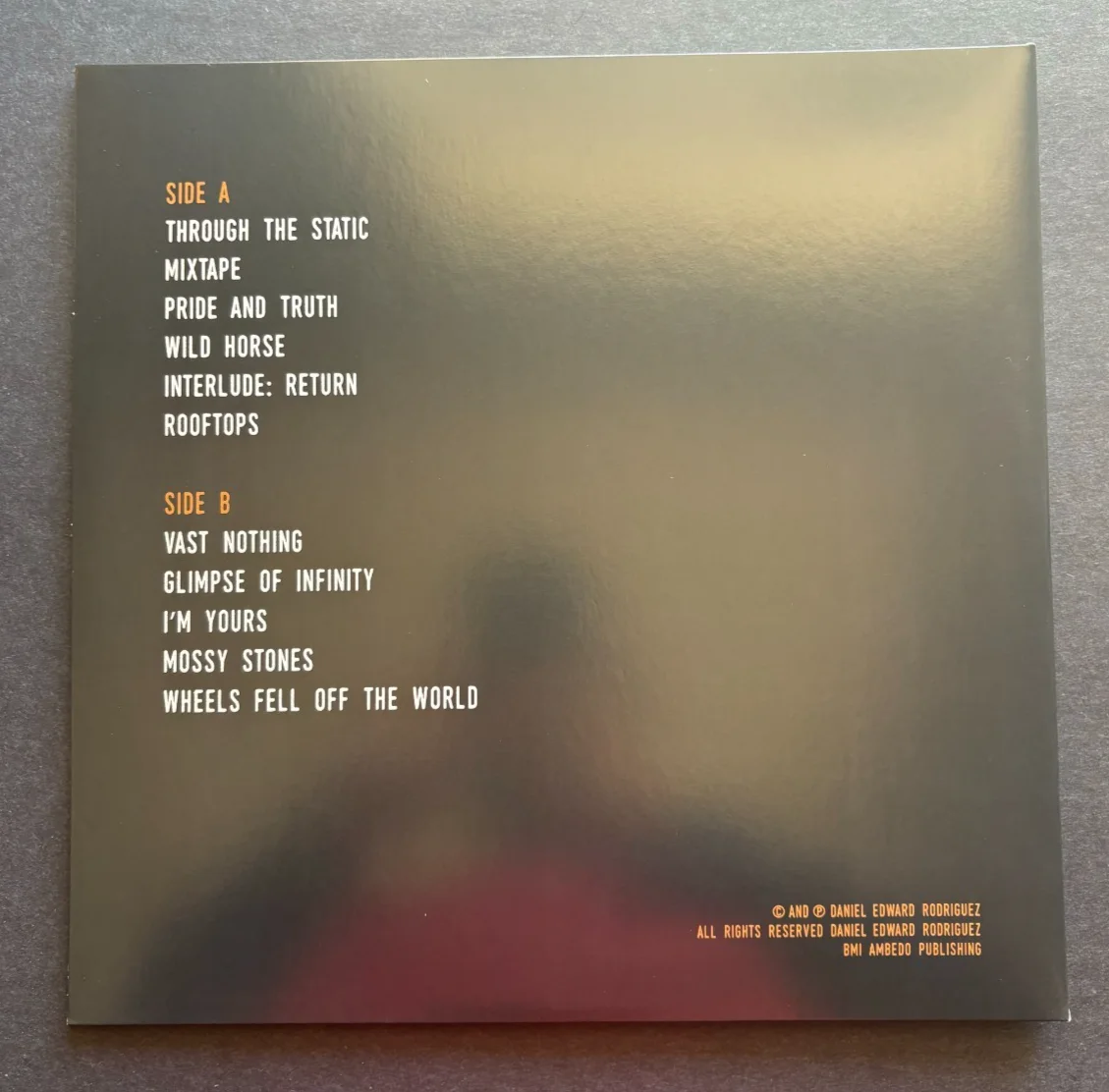 Daniel Rodriguez Signed "Vast Nothing" Vinyl Record Autographed Elephant Revival, image 3