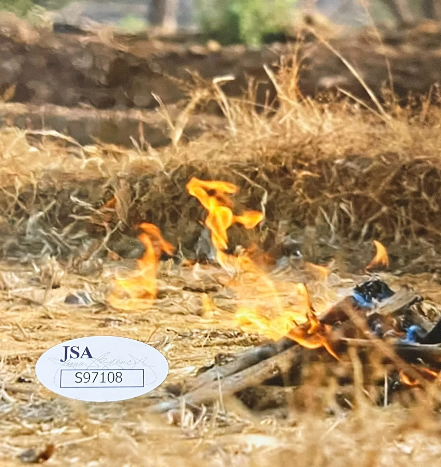 Matt Damon — Matt Damon The Bourne Identity Signed 8x10 Photo JSA Authenticated, image 2