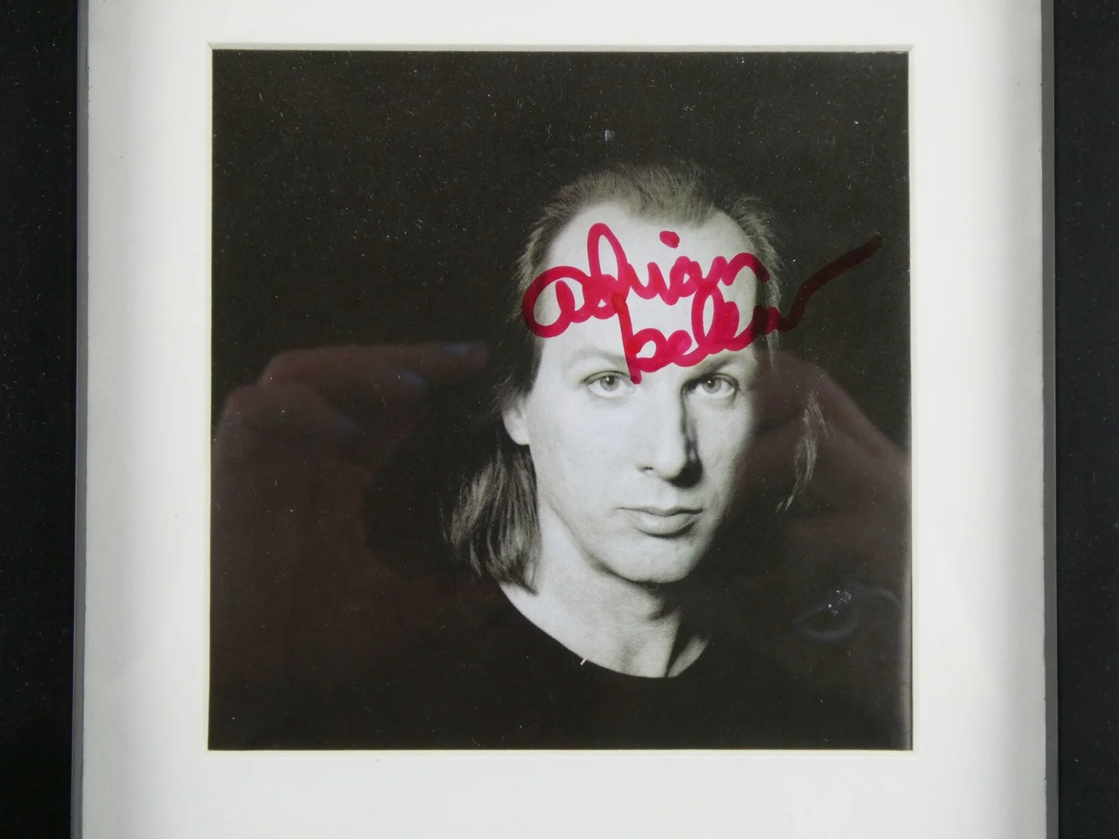 Adrian Belew Signed CD Op Zop Too Wah Framed Matted w/Cover, image 2