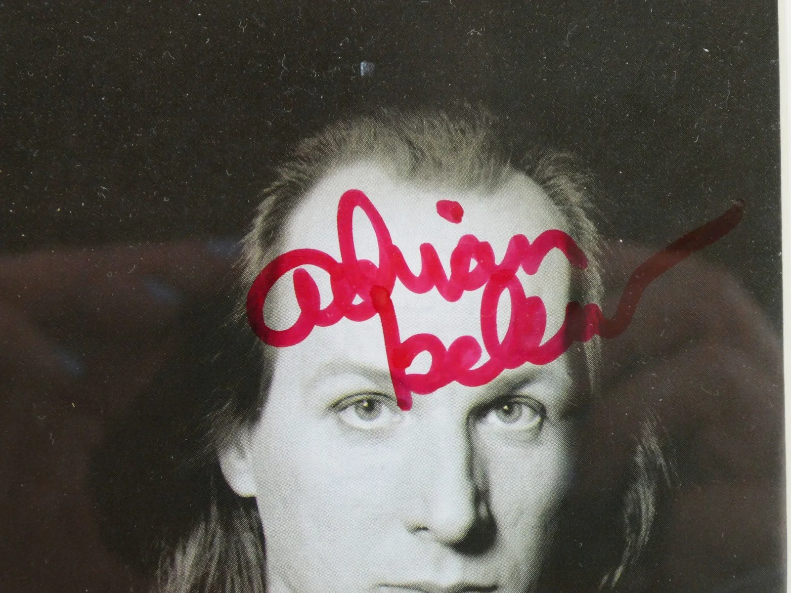 Adrian Belew Signed CD Op Zop Too Wah Framed Matted w/Cover, image 3