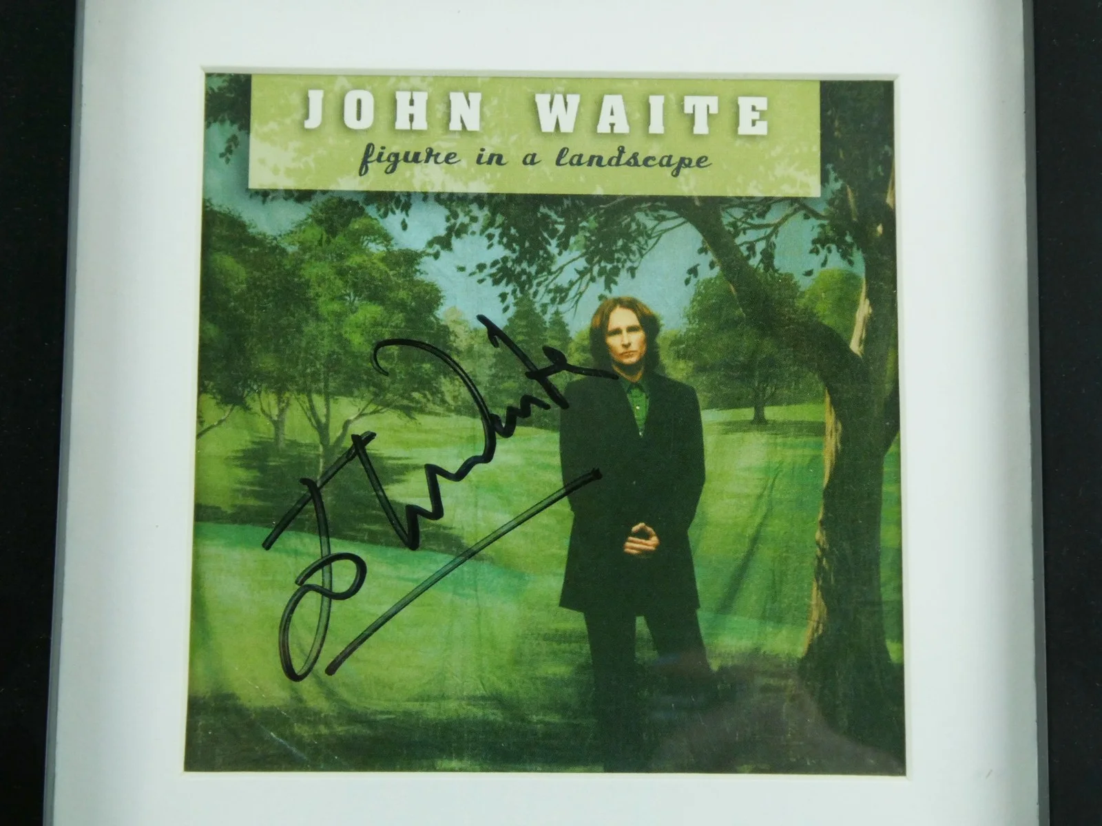 John Waite Signed CD Figure In A Landscape Framed Matted w/Cover, изображение 2