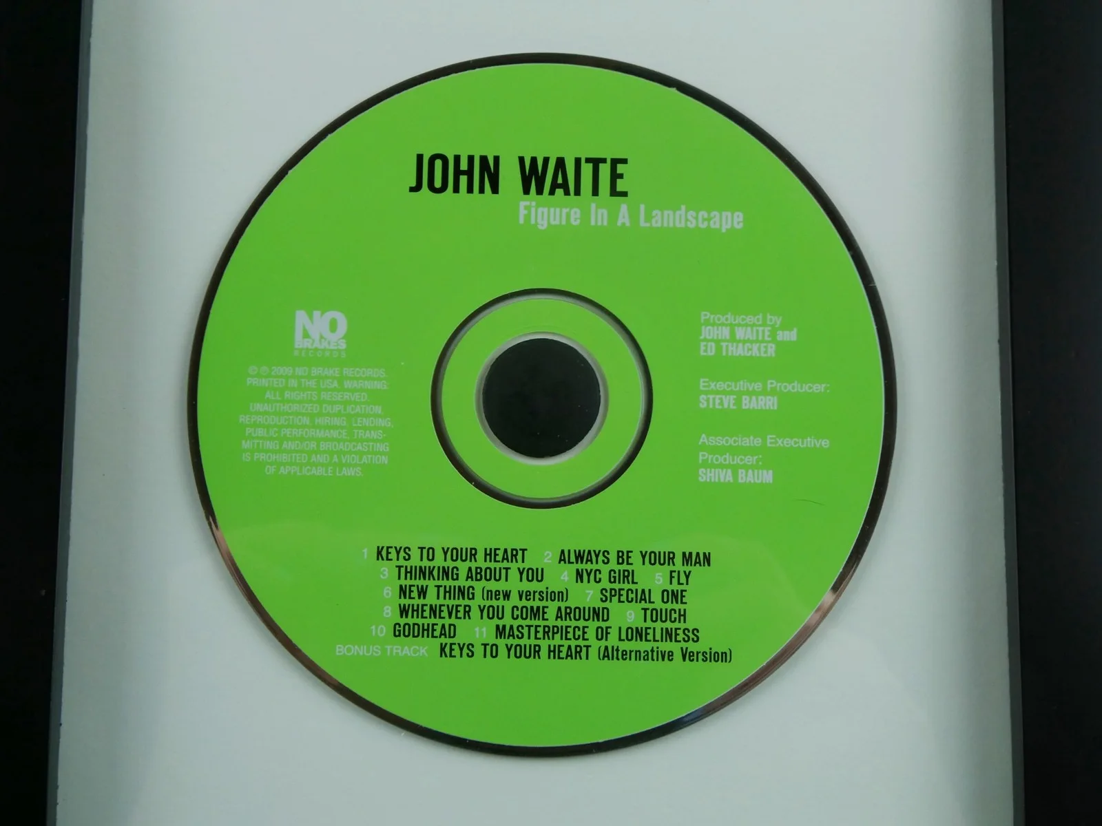 John Waite Signed CD Figure In A Landscape Framed Matted w/Cover, изображение 4