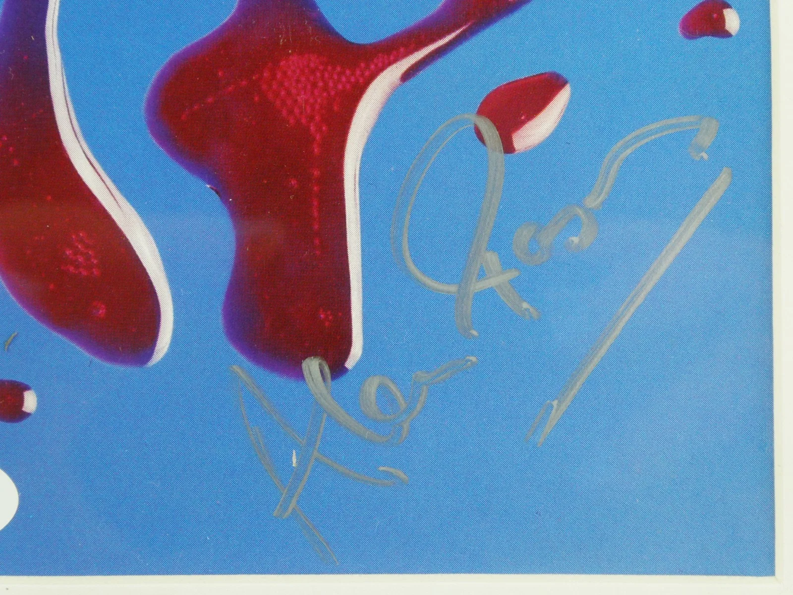 Alan Parsons Signed CD The Very Best Live Framed Matted w/Cover JSA COA, image 4
